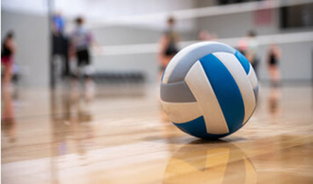 写真：エディオンアリーナ大阪（大阪府立体育会館）