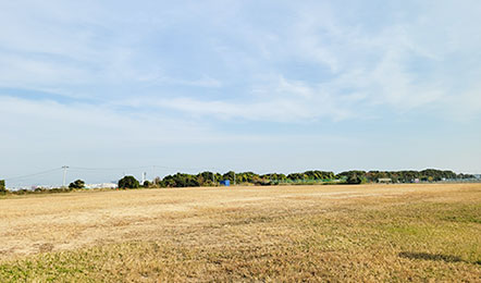 写真：舞洲スポーツアイランド