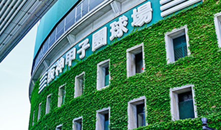 写真：阪神甲子園球場