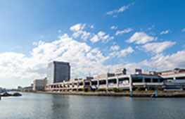 写真：大阪中央市場